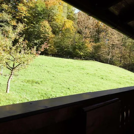 Apartment Fewo Erlengrund *
